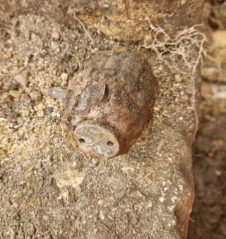 The hand grenade that brought work to a halt on 20th July