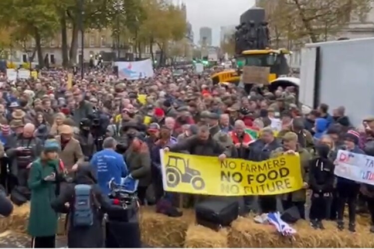 Farmers demonstrating in Whitehall