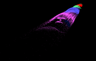 Cavity auto laser imaging of the tunnel